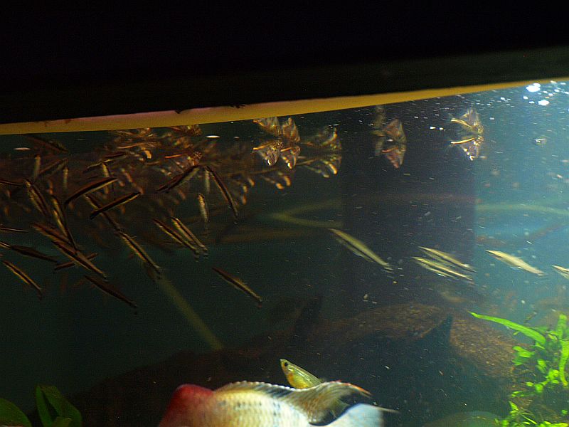 P1245903.JPG