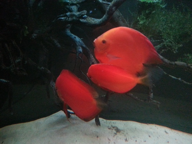20140127_202325.jpg