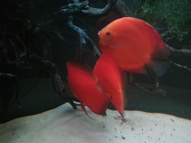 20140127_202320.jpg