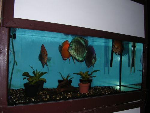 DSCN1636.jpg