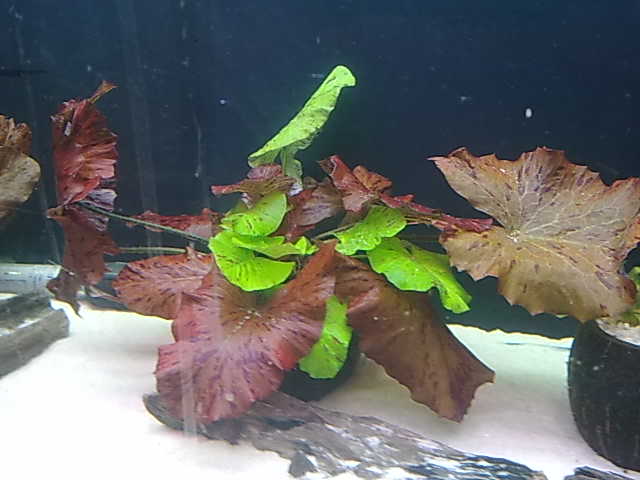 270420141332.jpg