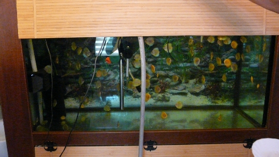 P1080383.JPG
