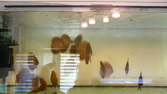 P1080384.JPG