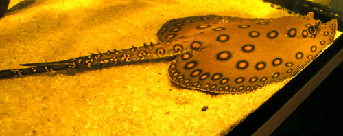 P9250008.jpg