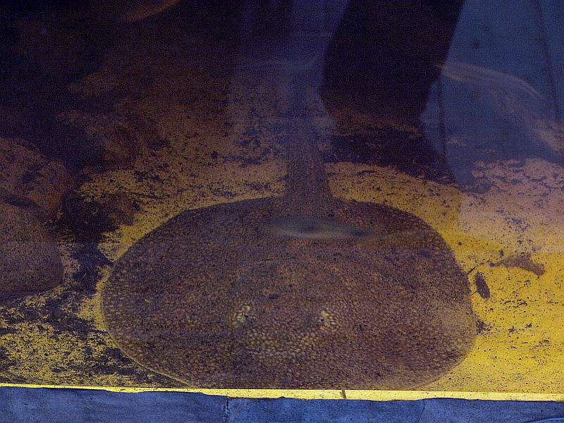 PC296630.JPG