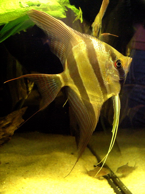 P1180010.jpg