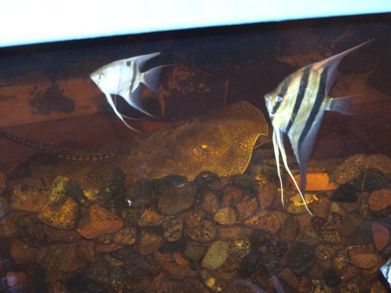 P1096744.JPG