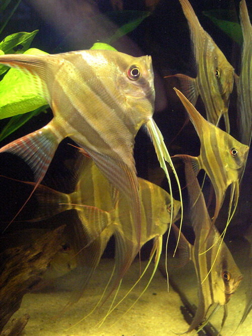 P1180025.jpg