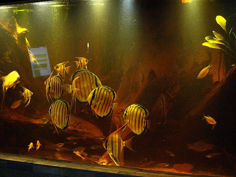 P1186882.JPG