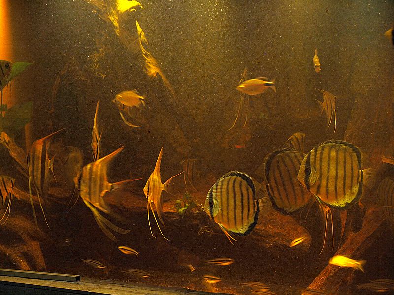 P1186897.JPG