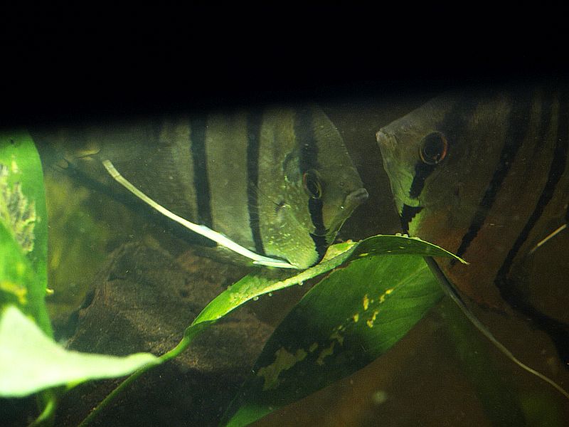 P1246902.JPG