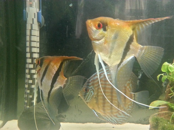 20150203_092355_HDR.jpg