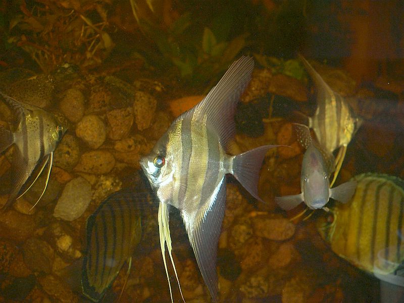 P2187179.JPG