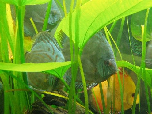 P1010059.JPG