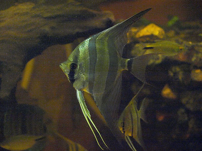 P3207602.JPG