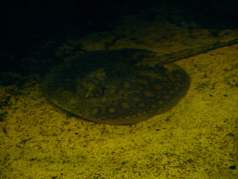 P3207611.JPG