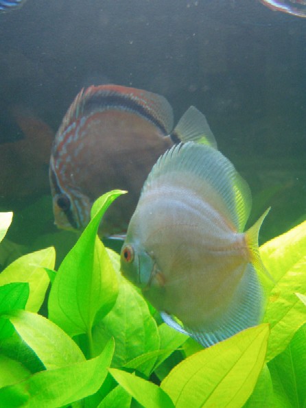 P1010042.JPG