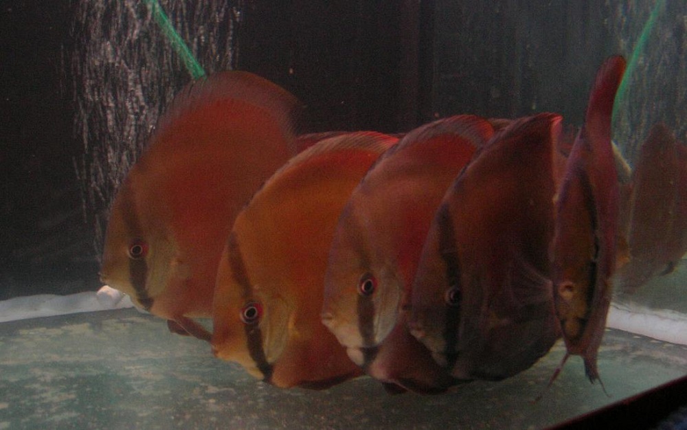 000_7049.JPG