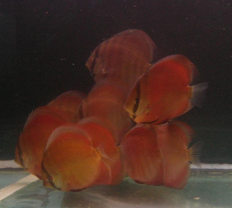 000_7073.JPG