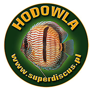 SuperDiscus.Forum.jpg