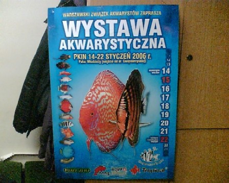 Zdjęcie009.jpg