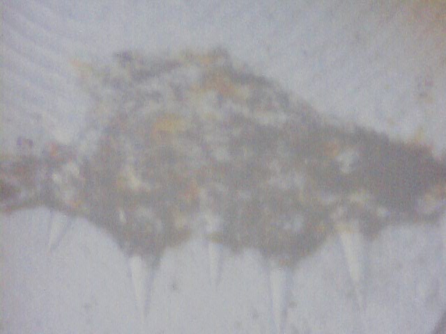 Still0002.jpg
