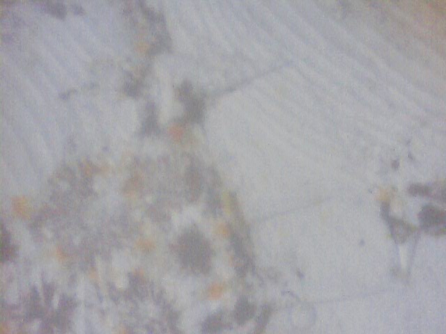 Still0003.jpg
