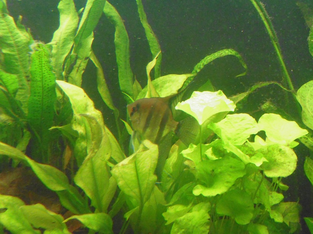 P1000314.JPG