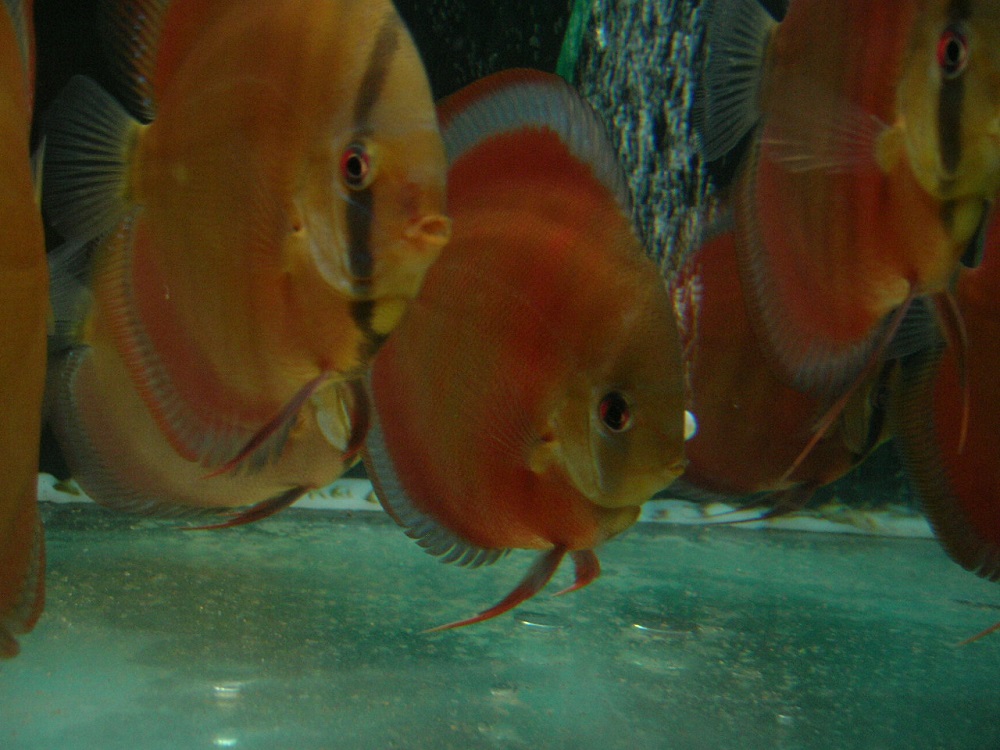 000_7290.JPG