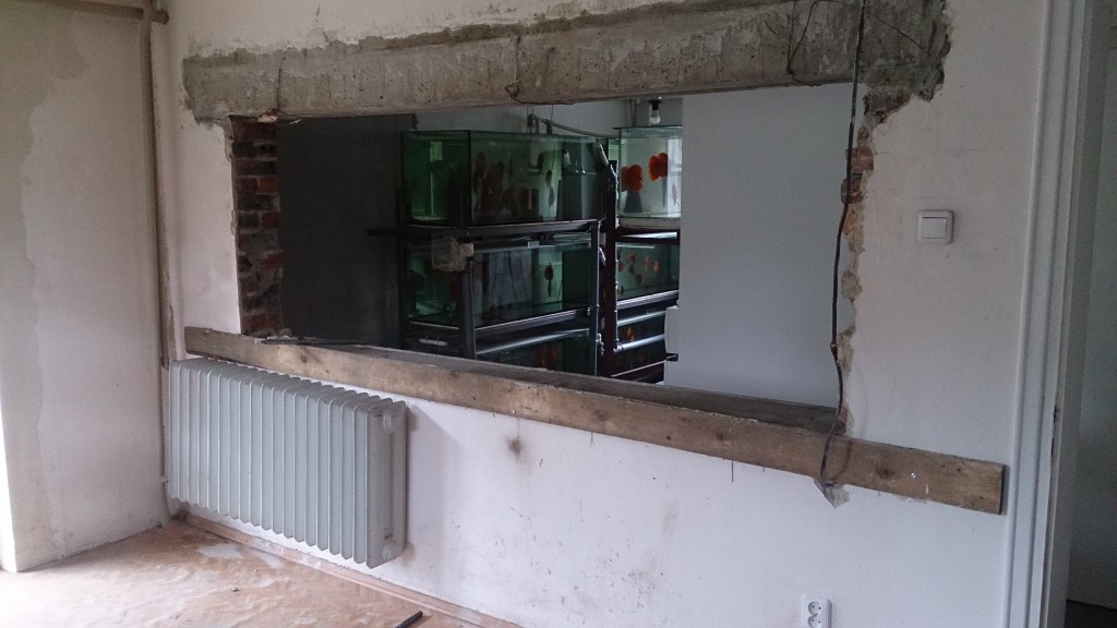 DSC_1190.JPG (1.91 MiB) Przejrzano 9887 razy DSC_1190.JPG