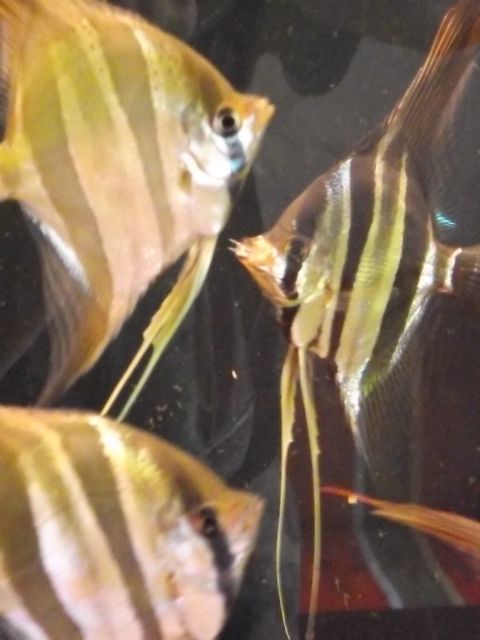DSCF2800.JPG