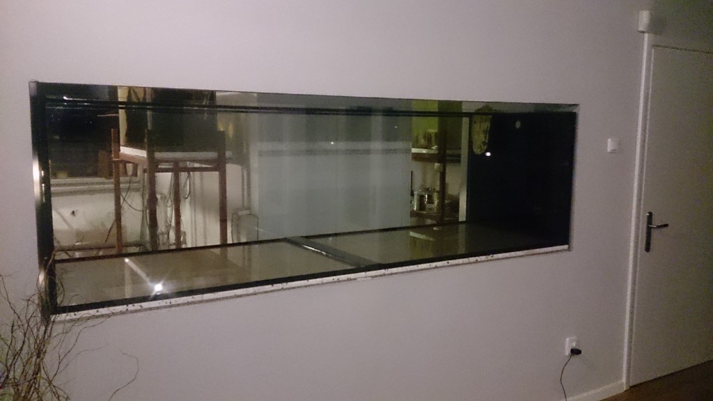 DSC_0106.JPG