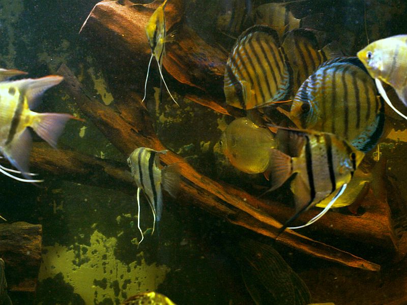 PA229070.JPG