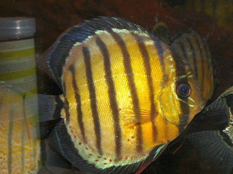 PA259095.JPG