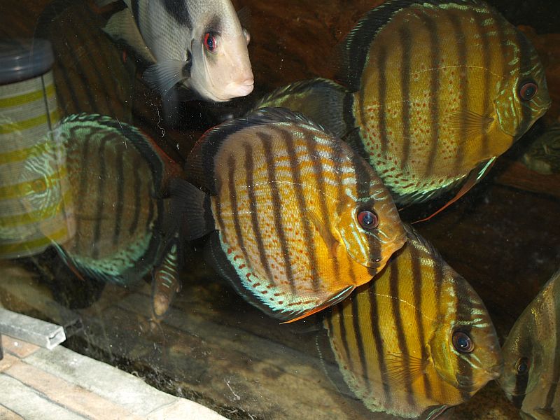 PA259111.JPG