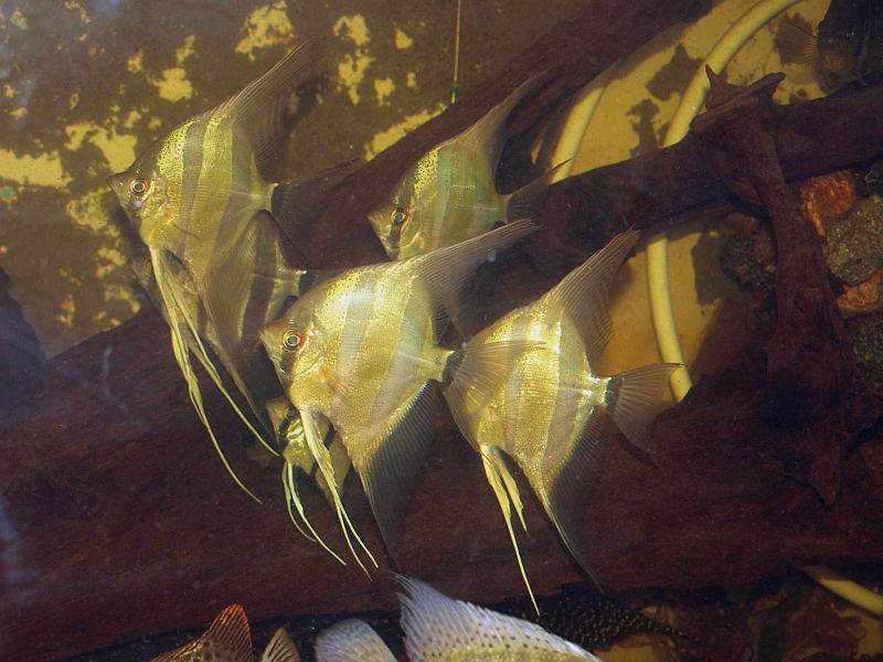 PA259108.JPG