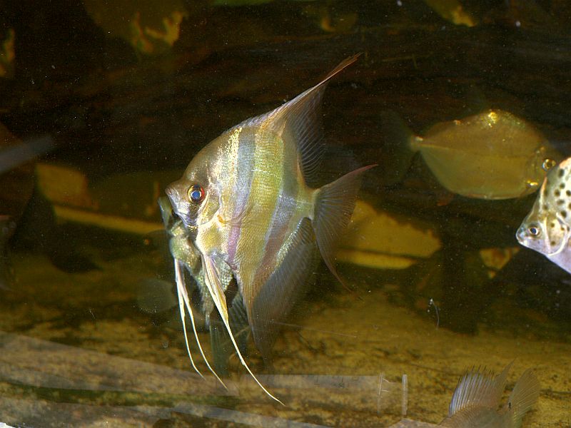 PA259110.JPG
