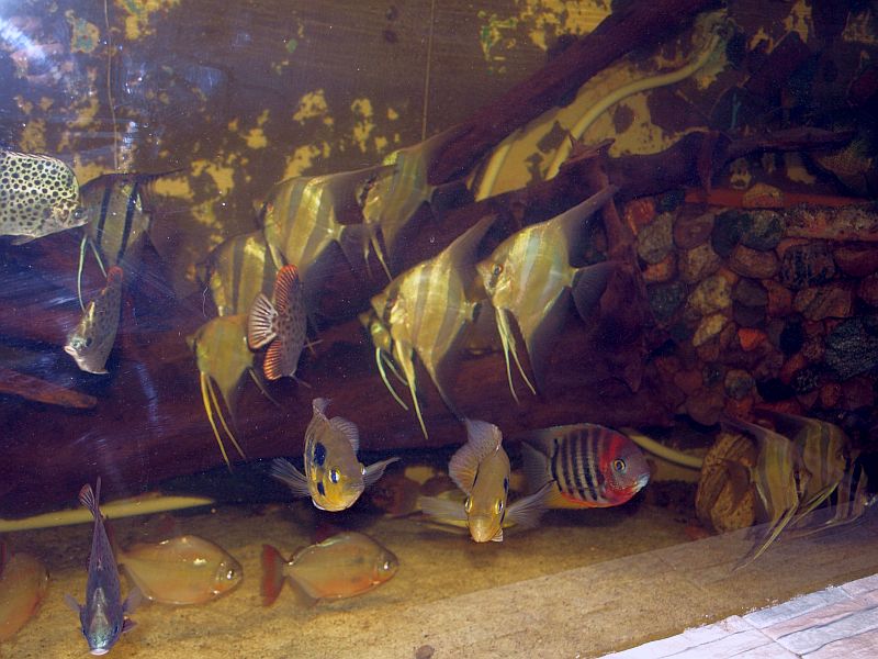 PA259107.JPG
