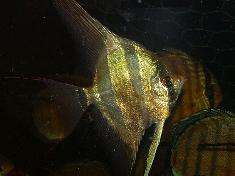 P5180659.JPG