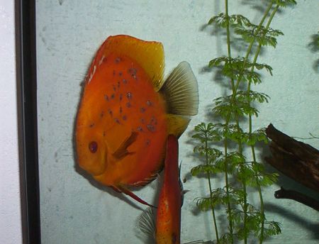 7 dzien na plecach.jpg