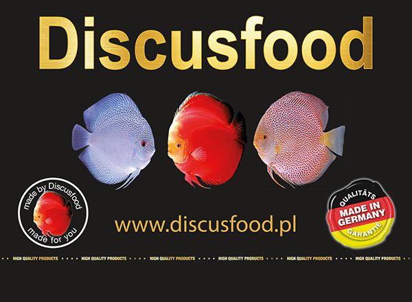 BANER-DISCUSFOOD.jpg