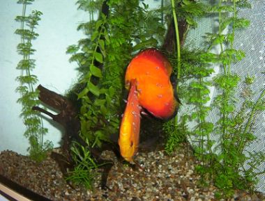 4 dzien na plecach.jpg