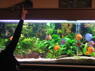 IMG_0017_1.jpg