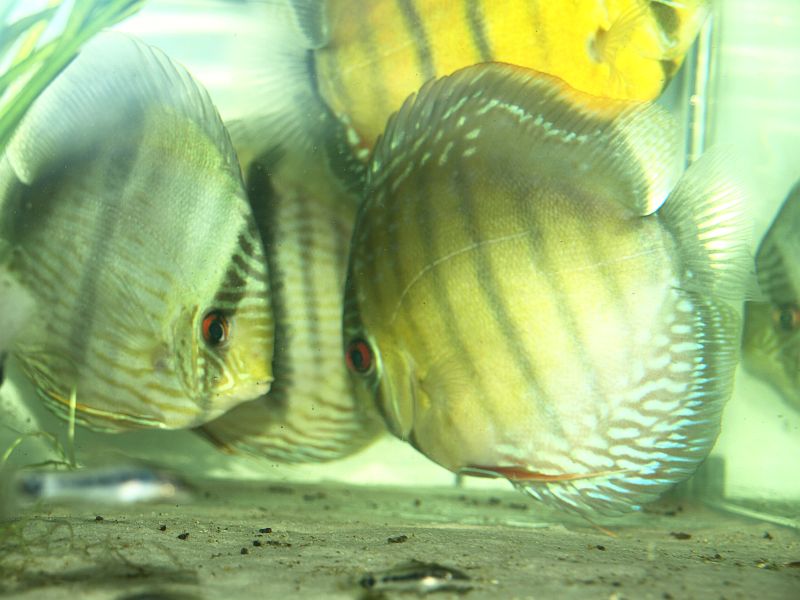 P1031279.JPG