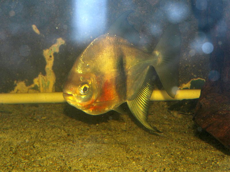 P1151385.JPG