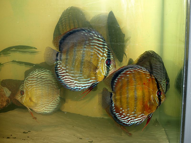 P7102464.JPG