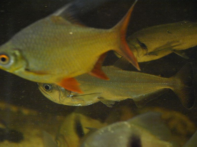 PC303027.JPG