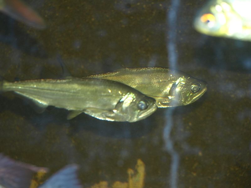 PC303021.JPG