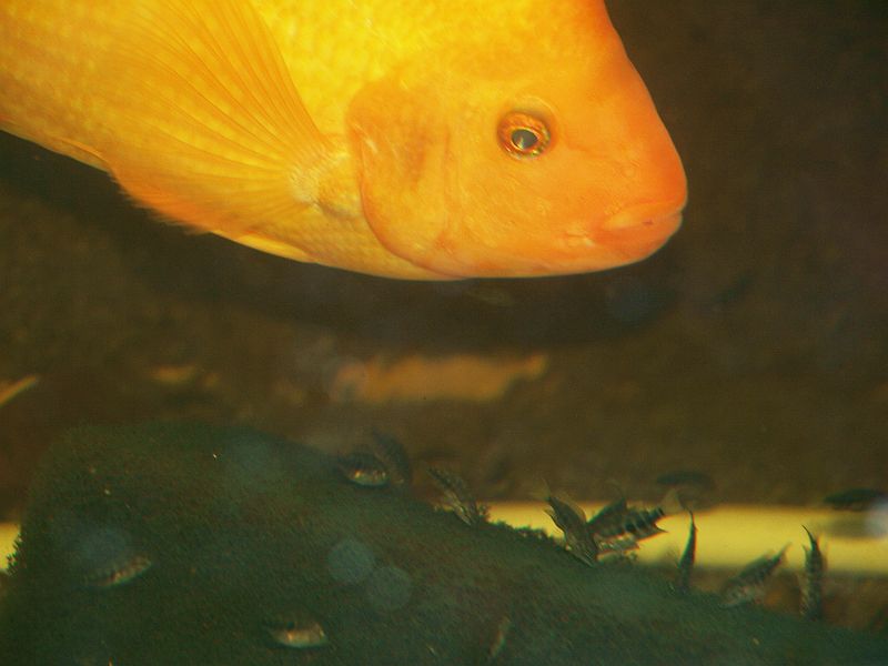 P2203441.JPG