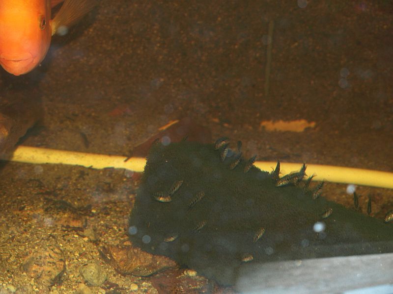 P2203437.JPG
